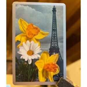 Paris Eiffel Tower Orchid Daisy Flowers Retro Artist‎ Painting Playing Card Deck